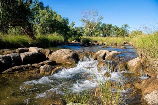 A scenic landscape photograph of a rocky stream with flowing water, green trees and grass, and a clear blue sky.