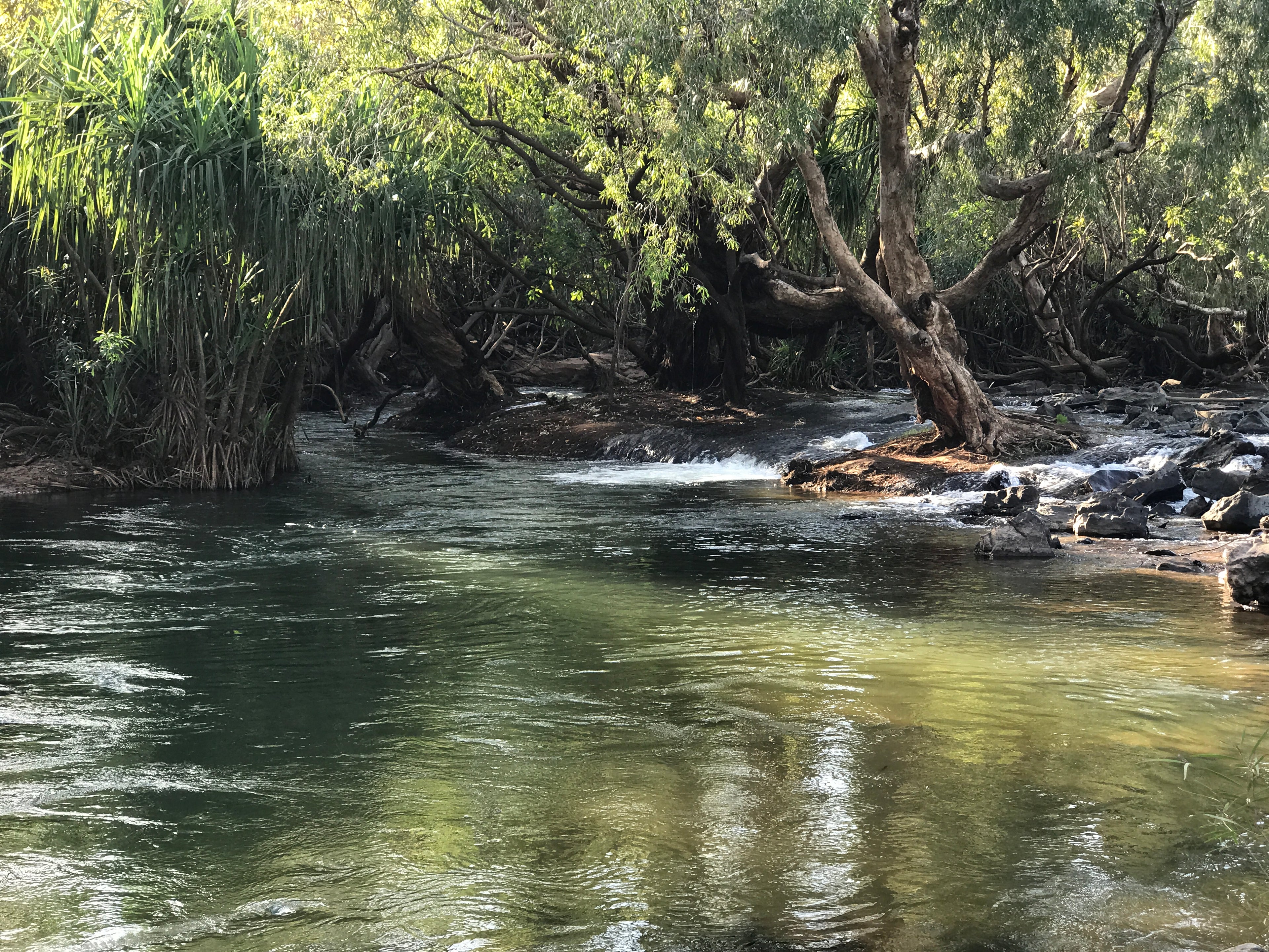 Katherine River flowing with shady trees and rocks